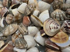 -千滋百味自助海鲜烤肉(布吉景华店)