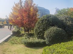 -郑州植物园