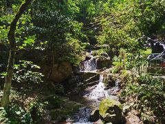 -莫干山风景区