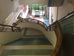 -香港大学