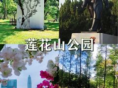 -四海公园(南山区)