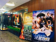 -CMC大光明影城(莲花店)