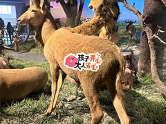 -国家自然博物馆