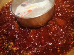 -杨家火锅(国美店)