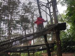 -芦仙山景区-飞越丛林探险乐园