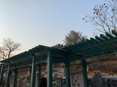 -西海子公园