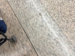 -奥体中心(地铁站)