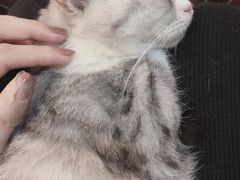 -万小咖.猫咖(中山路天虹店)