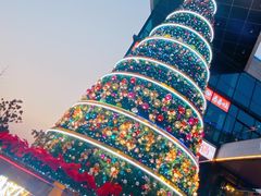 -浦江城市生活广场(江月路店)