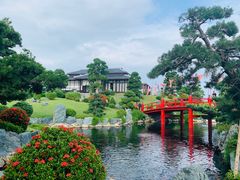 -芽庄珍珠岛游乐园