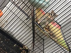 -竹园小居(石塘竹海店)