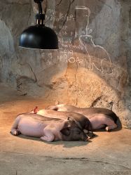 -Zoolung Zoolung动物主题公园(海信广场店)