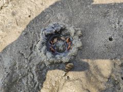 -北海金海湾红树林生态旅游区