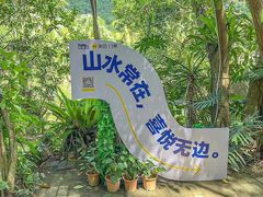 -呀诺达热带雨林