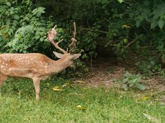 -广州长隆野生动物世界