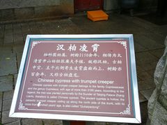 -青岛崂山太清宫