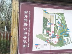 -西青郊野公园
