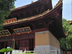 -亭林园-华藏寺