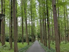 -上海怡沁园度假酒店