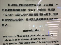 -金钉子远古世界景区