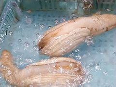 -阿伟海鲜楼·福建菜(延寿店)