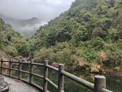 -宁海森林温泉