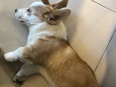 -平行世界·猫咖(首经贸店)