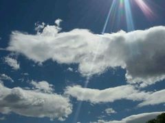 android_upload_pic-紫竹院公园冰场