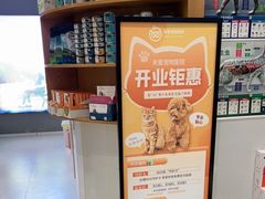 -关爱宠物医院·猫科中心·消化科(滨湖万达分院)