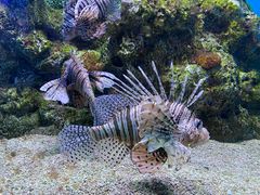 -大连老虎滩海洋公园