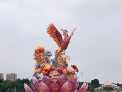 -映月湖公园