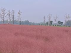 -汉长安城未央宫国家考古遗址公园