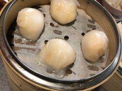 晶莹鲜虾饺-点点心点心专门店(旺角店)
