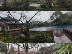 -杭州西子湖四季酒店-WL BISTRO西湖餐厅(灵隐路店)