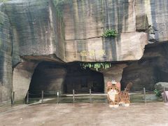 -广州莲花山旅游区
