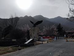 -北京鹫峰国家森林公园