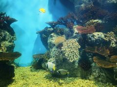 -福州罗源湾海洋世界旅游区