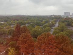 -自然谷恐龙园