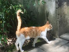 -汇龙潭