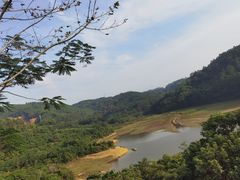 -东莞市大岭山森林公园