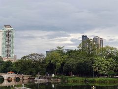 -荔湾湖公园