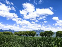 -野鸭湖国家湿地公园