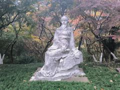 -南京古林公园