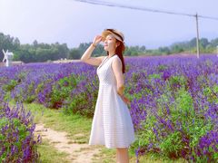 -北京东方普罗旺斯薰衣草庄园