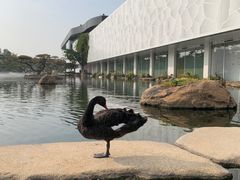 -罗红摄影艺术馆