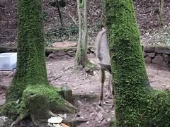 -昆明青龙峡风景区
