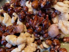 -松赞拉萨林卡酒店