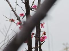 -艾溪湖湿地公园
