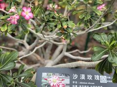 -国家植物园
