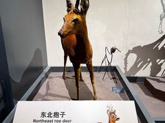 -大庆市博物馆